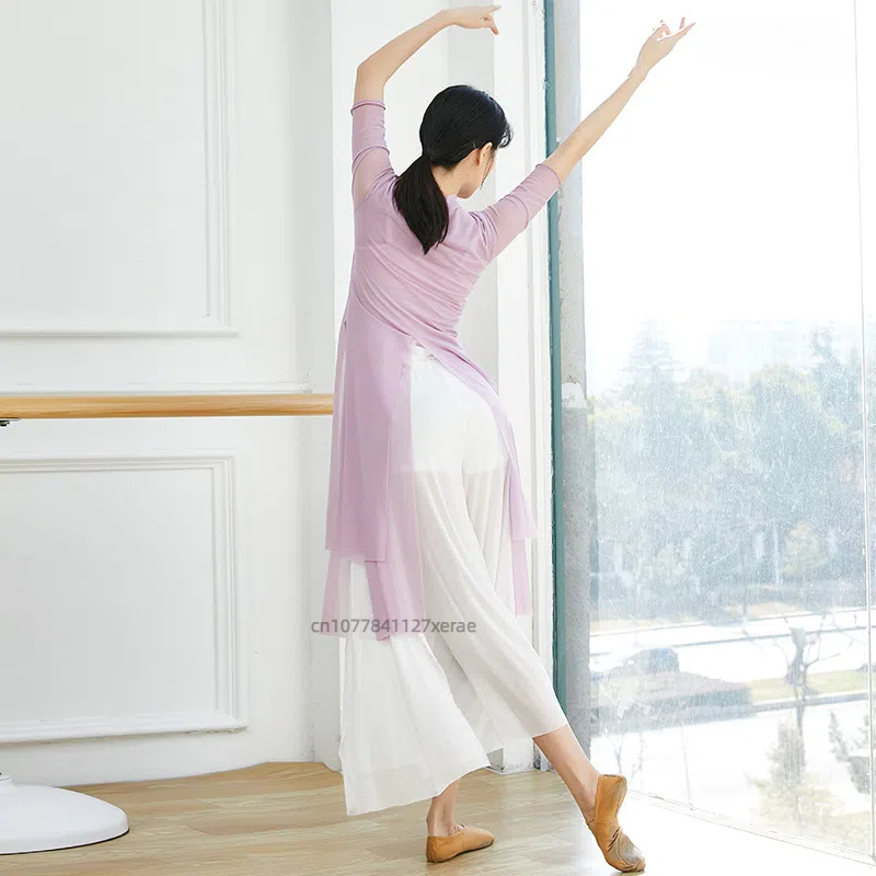 Chinese Style Modern Dance Practice Hanfu Medium Long Women's Classical Ethnic Double Layered Slit Gauze Clothes: L / PURPLE