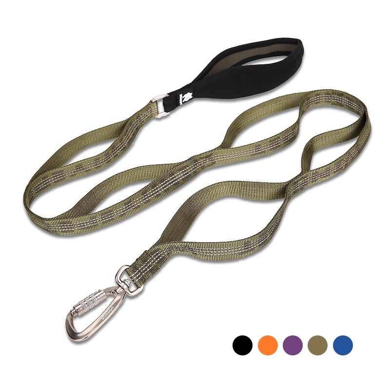 Truelove hondenriemen, duurzame reflecterende hondenriem van nylon, verstelbare trainingsriem met meerdere handgrepen voor honden.: Amy green / M 2.0140cm