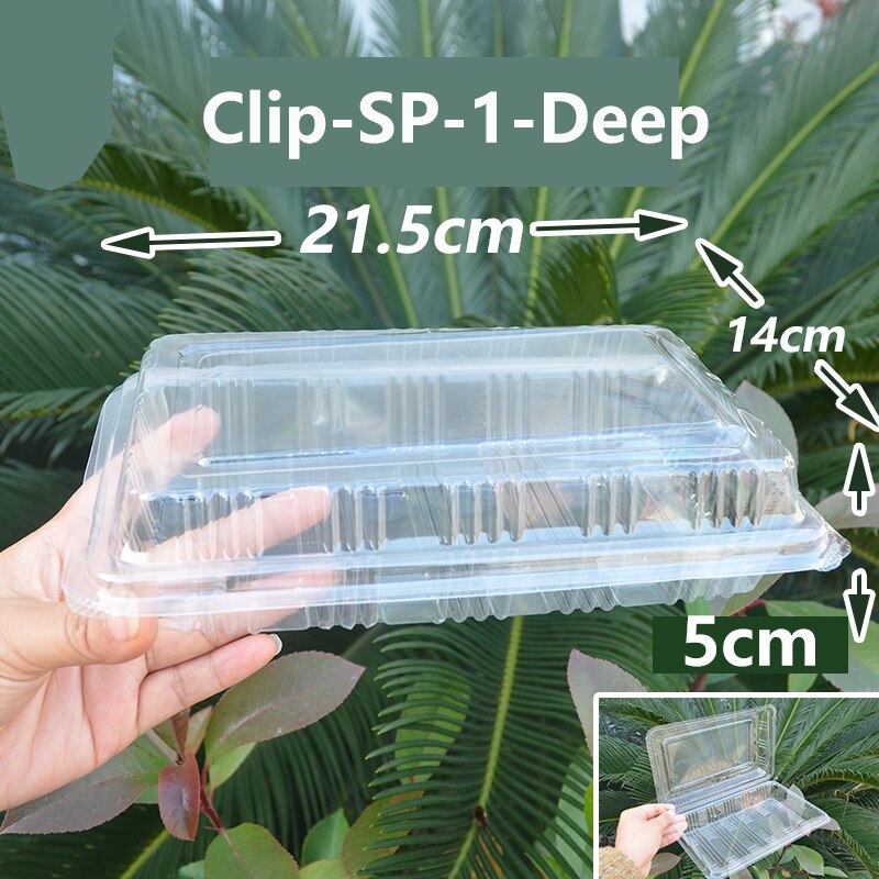 100Pack Disposable Clear Plastic Containers Transparent Box for Dessert Fruit Cake Salad Sandwiches Take Out Box: Clip-SP-1-Deep