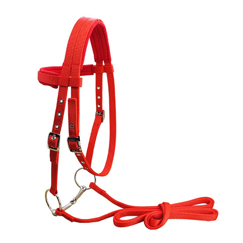 TOPEquipo de equitación ajustable, brida de caballo Halter con Bit y cinturón de rienda para accesorios ecuestres, suave y grueso