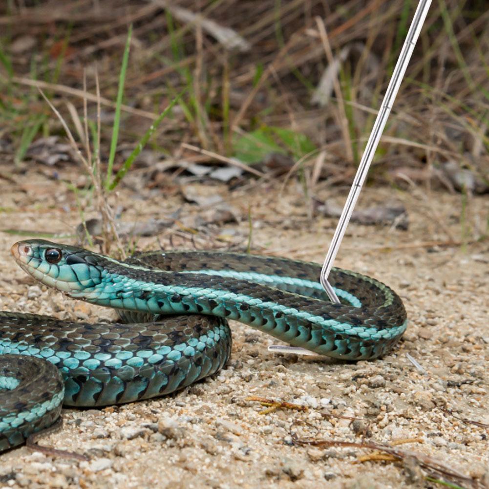 Vangen Slangen Gereedschap Rvs Val Tong Verstelbare Lange Handvat Voor Tang Snake Hook Tool Vangen Huisdier Slangen Fokken