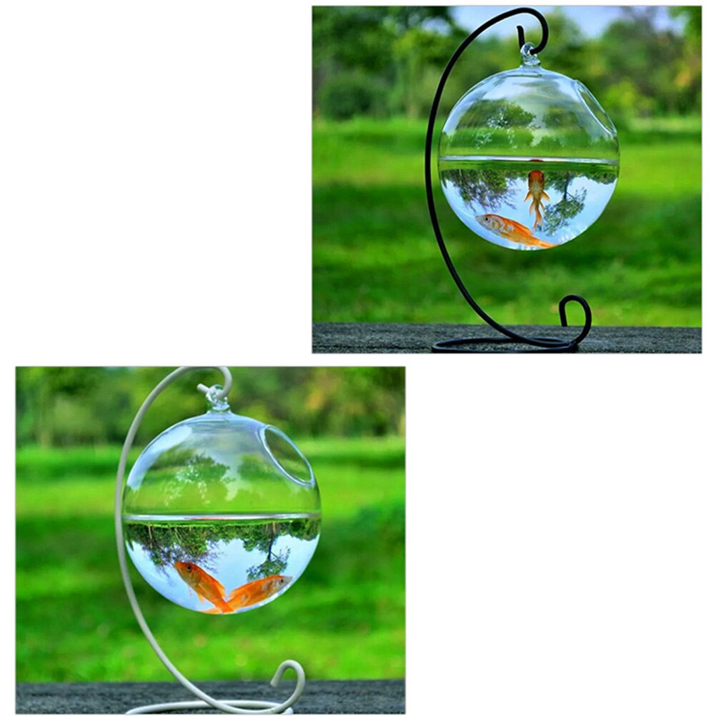 Bol à poissons d'aquarium en verre | Forme ronde suspendue, Aquarium réservoir de poissons, Vase à fleurs décoration de la maison 12cm de hauteur