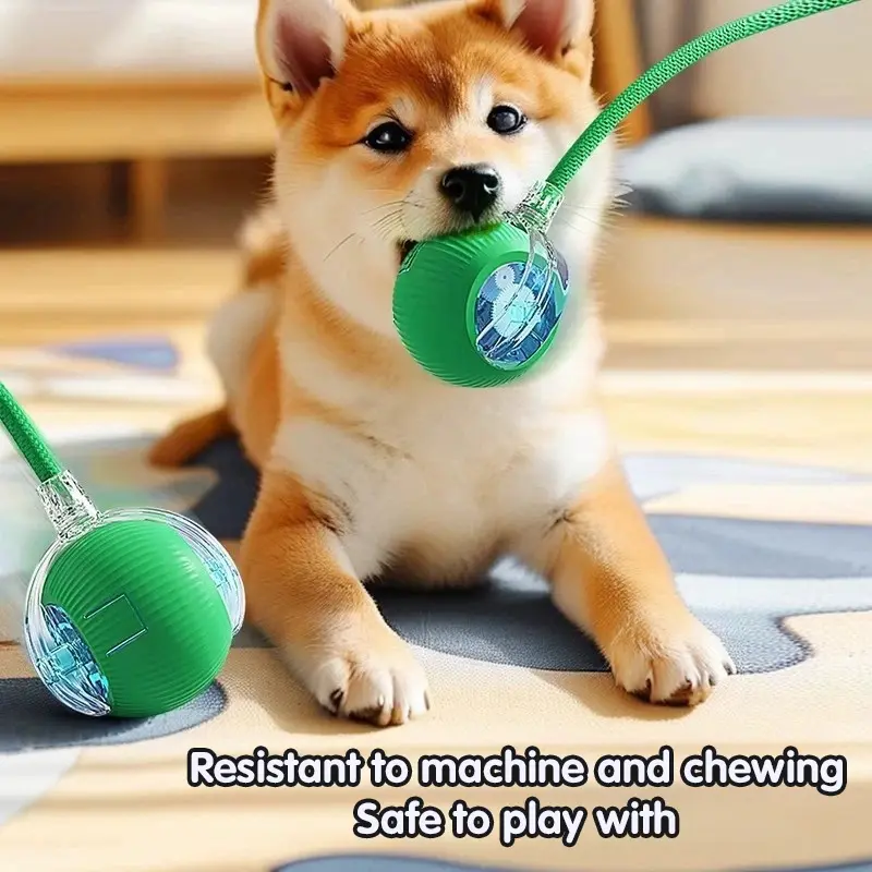 Jouet roulant automatique Rechargeable pour chat, boule intelligente interactive avec chargement USB, jouet électrique mobile pour animaux de compagnie, jeu d'intérieur pour chats/chiens