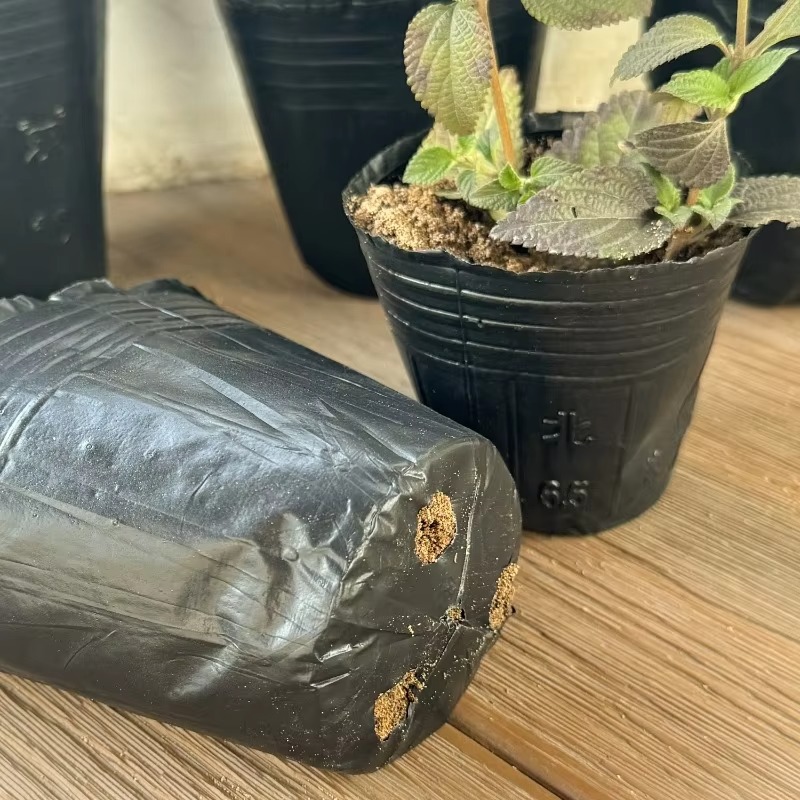 300/50PCS Thickened Seedling Bag with Holes Plastic Flowerpot Flower Plant Breathable Container Garden Vegetable Planting Pots