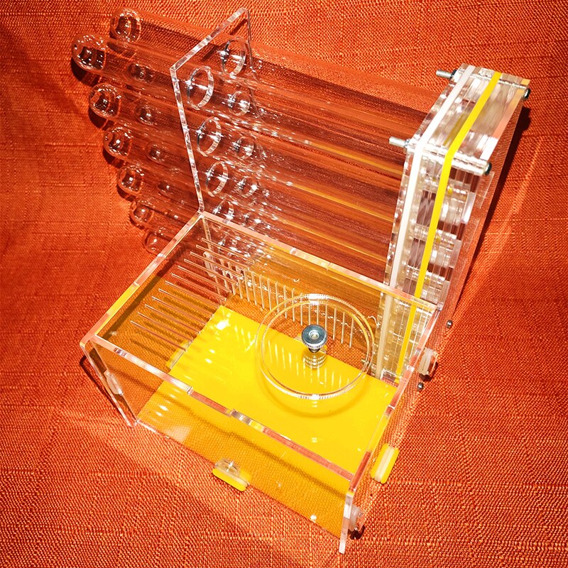 Ant Castle 12 Test Tube Ant Nest Acrylic Large Ant Feeding Box Ants Farm House: B