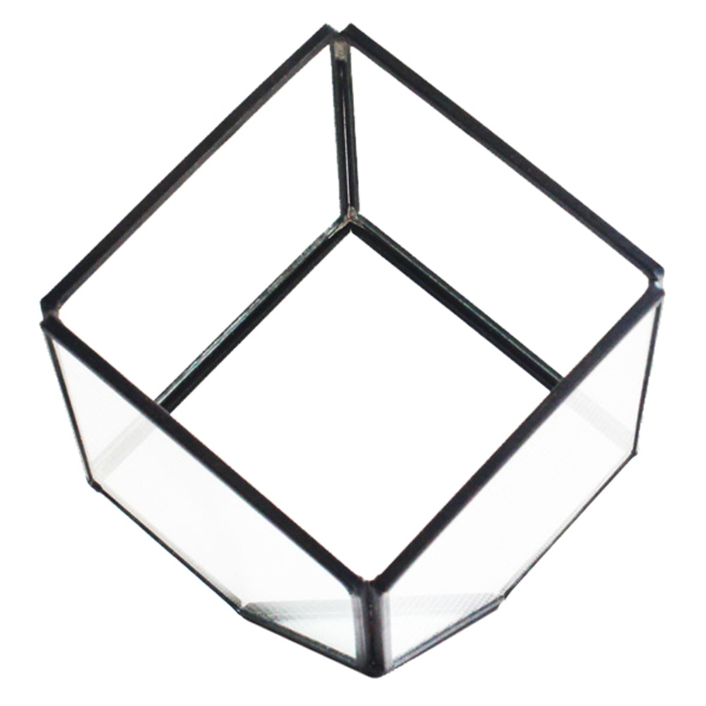 Micro Landscape Square Glass Flower Room Geometric Cubes Glass Terrarium Home Decor Plant Fleshy Flower Holder Vase Pot: Black