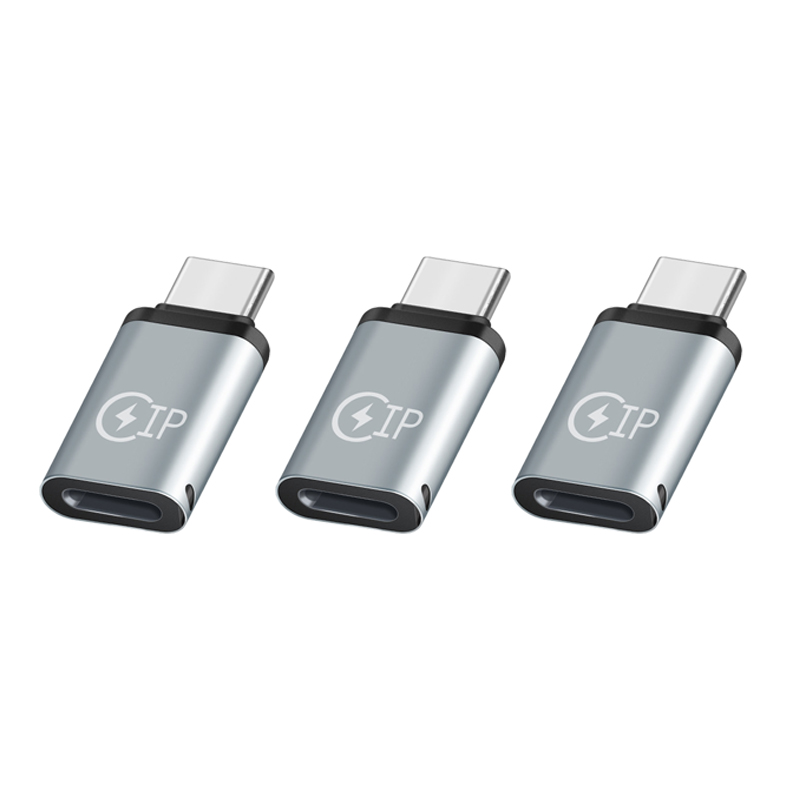 Universal Lightning Female To USB C Male Charger Cable Converter Type-C Phone Charging Adapter 5V 2.1A Fast Charge Connector: WHITE