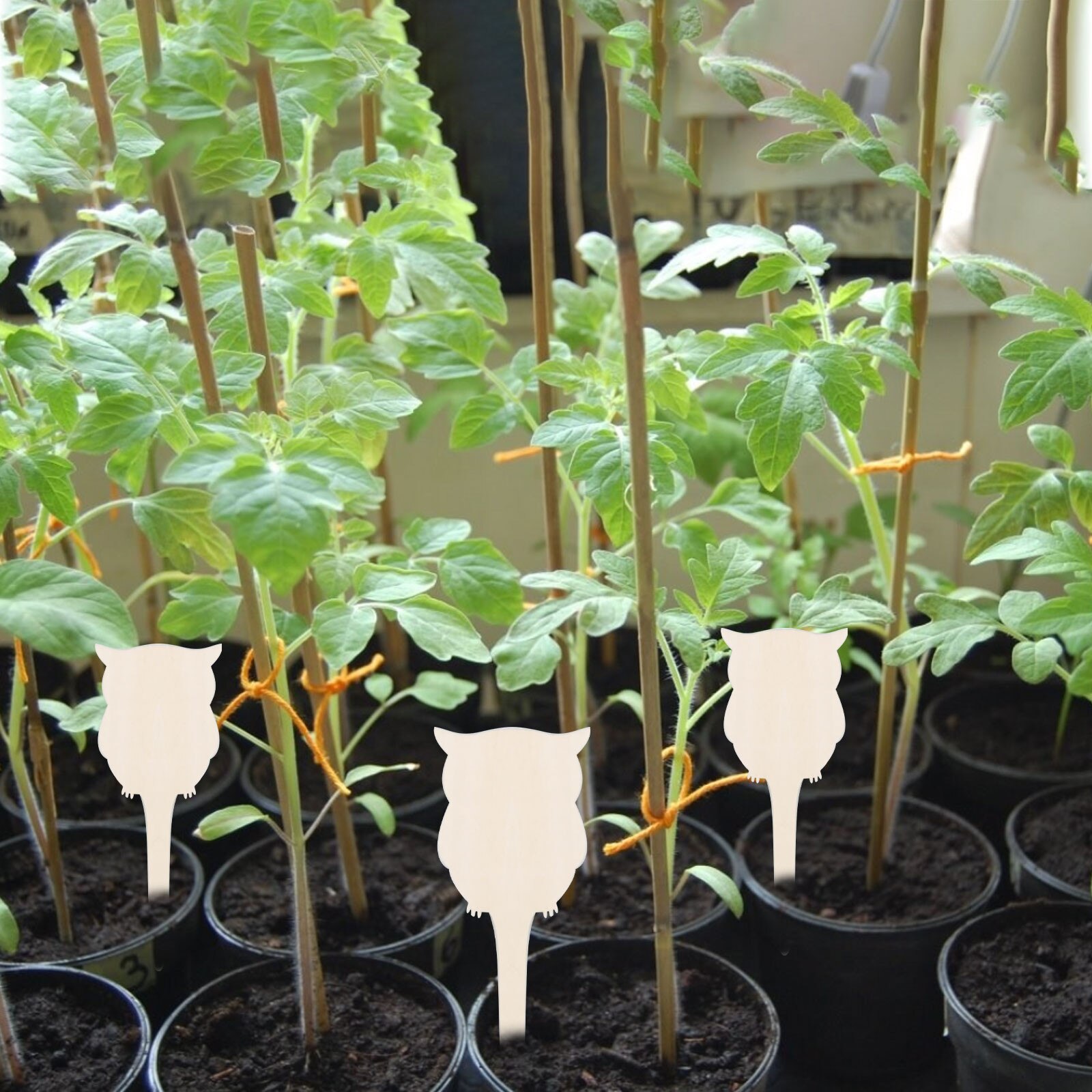 Letreros con etiquetas para plantas, etiquetas creativas de madera para jardinería, tipo T, decoración creativa de flores para jardín y guardería, bandeja para semillas, 10 Uds.