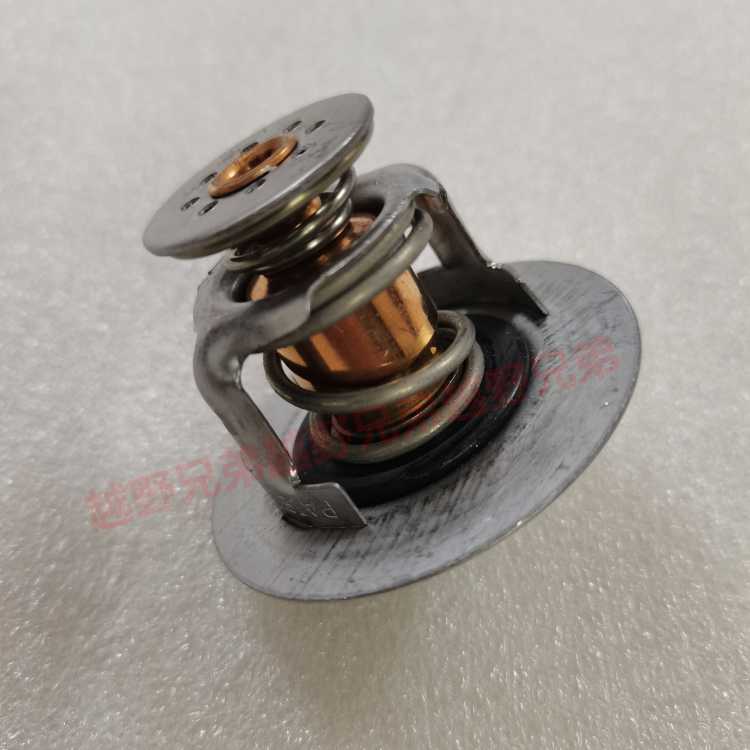 Water Pump for 2013 Ford Expedition