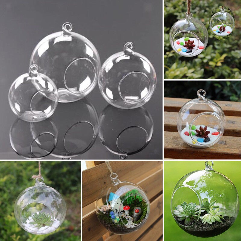 Vase Boule En Verre Borosilicate à Suspendre - Ouverture 8 Cm - Pour Plantes Succulentes, Terrarium - Décoration Maison, Noël