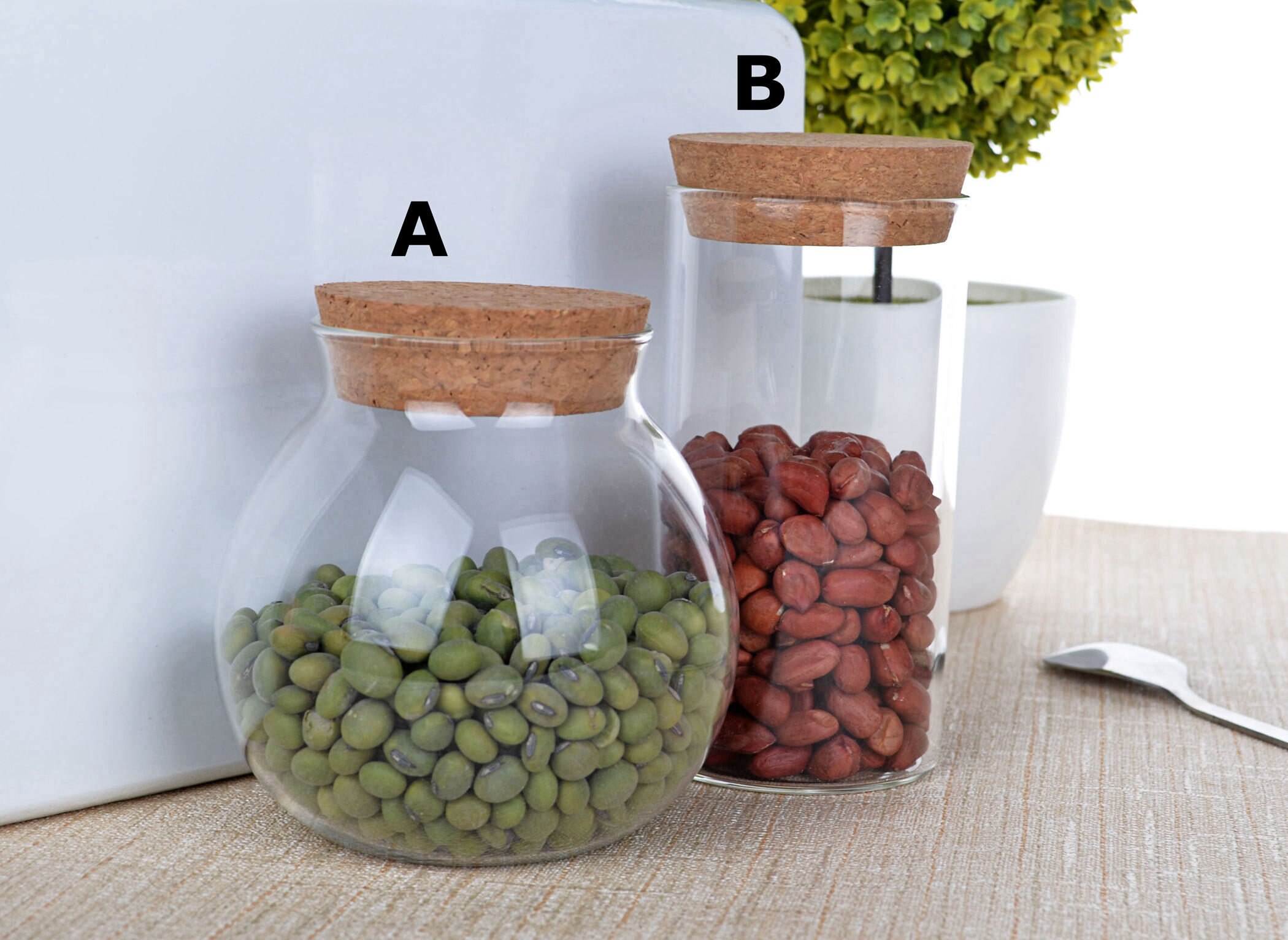 Lots Sized Glass Canister with Wooden Lid for Tea Coffee Sugar Storage Caddy