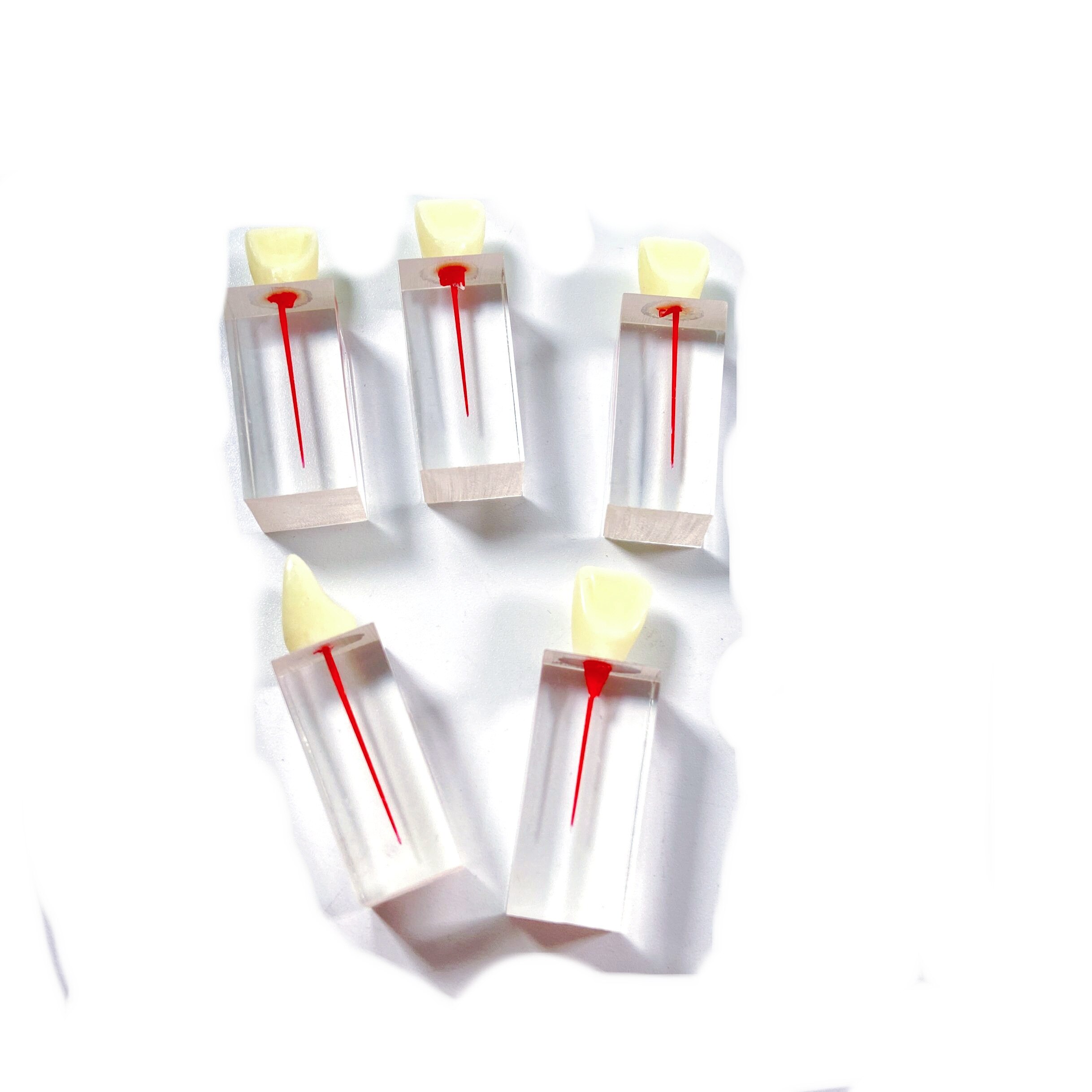 Dental Endo Training Block Endodontics Student Teaching Model Dentistry 3 Styles Practice Model