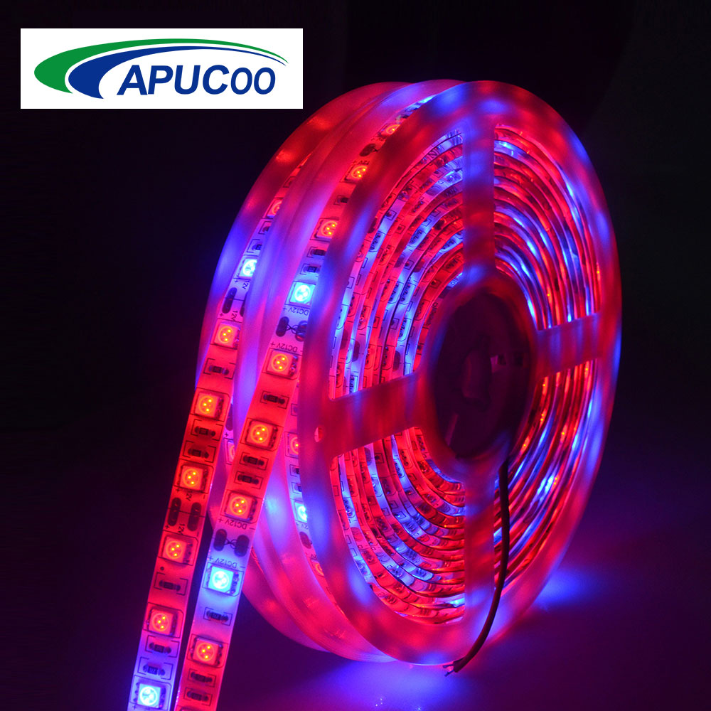 5050 SMD 5 M LED Grow Lamp Volledige Spectrum LED Strip Licht IP33 IP65 DC12V 300 LEDs Groei Lamp Phytolamp voor Kasplant Kamer