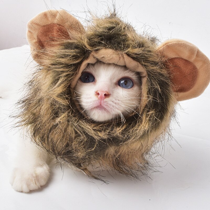 Peluca de gato y melena de León para mascotas, sombrero para perros y gatos pequeños, accesorios de decoración para mascotas, disfraz de Peluca de León, gorro de pelo , suministros para mascotas