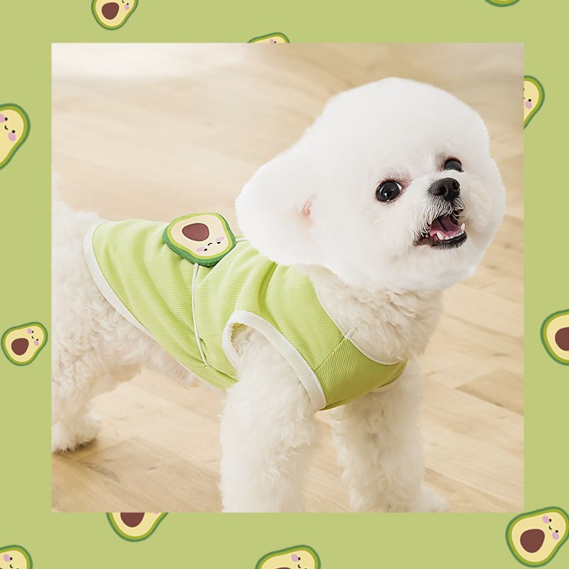 Huisdier Kleding Dun En Ademend Groene Avocado Satchel Vest In Lente En Zomer Teddy Chihuahua Kat Two Legged Kleding