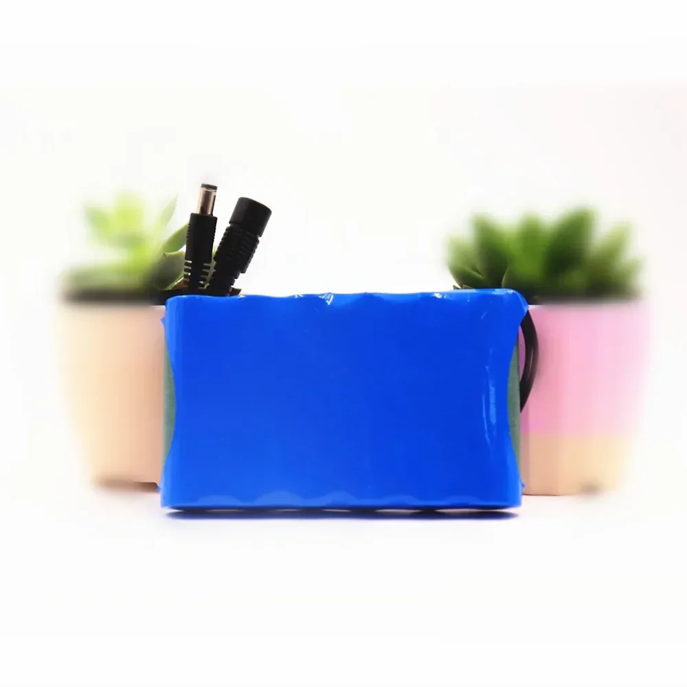 Portable Super 12V 30000mah Battery Rechargeable Lithium Ion Battery Pack Capacity DC 12.6v 20Ah CCTV Cam Monitor + Charger