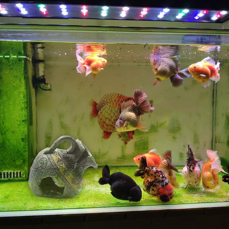 Aquarium ornement Aquarium Simulation Vase planque aménagement paysager cache Cave