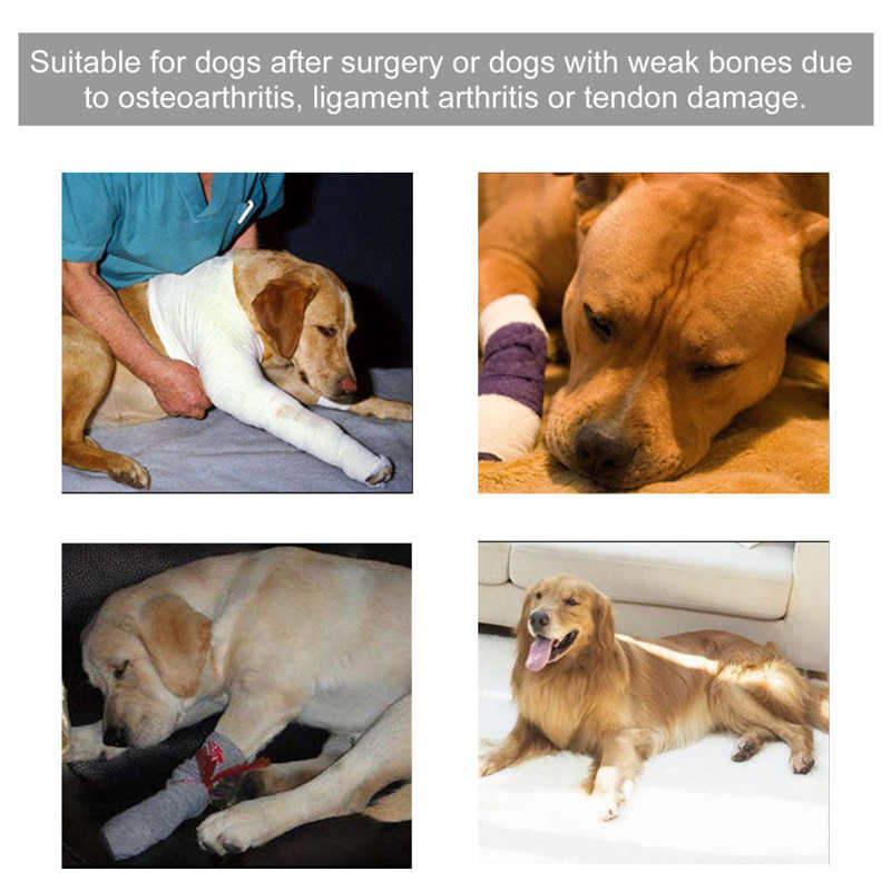 Dog Physiological Pants Dog Kneepads Elastic Injury Wound Leg Support Protector Recovery Pet Knee Joint Wrap Menstruation