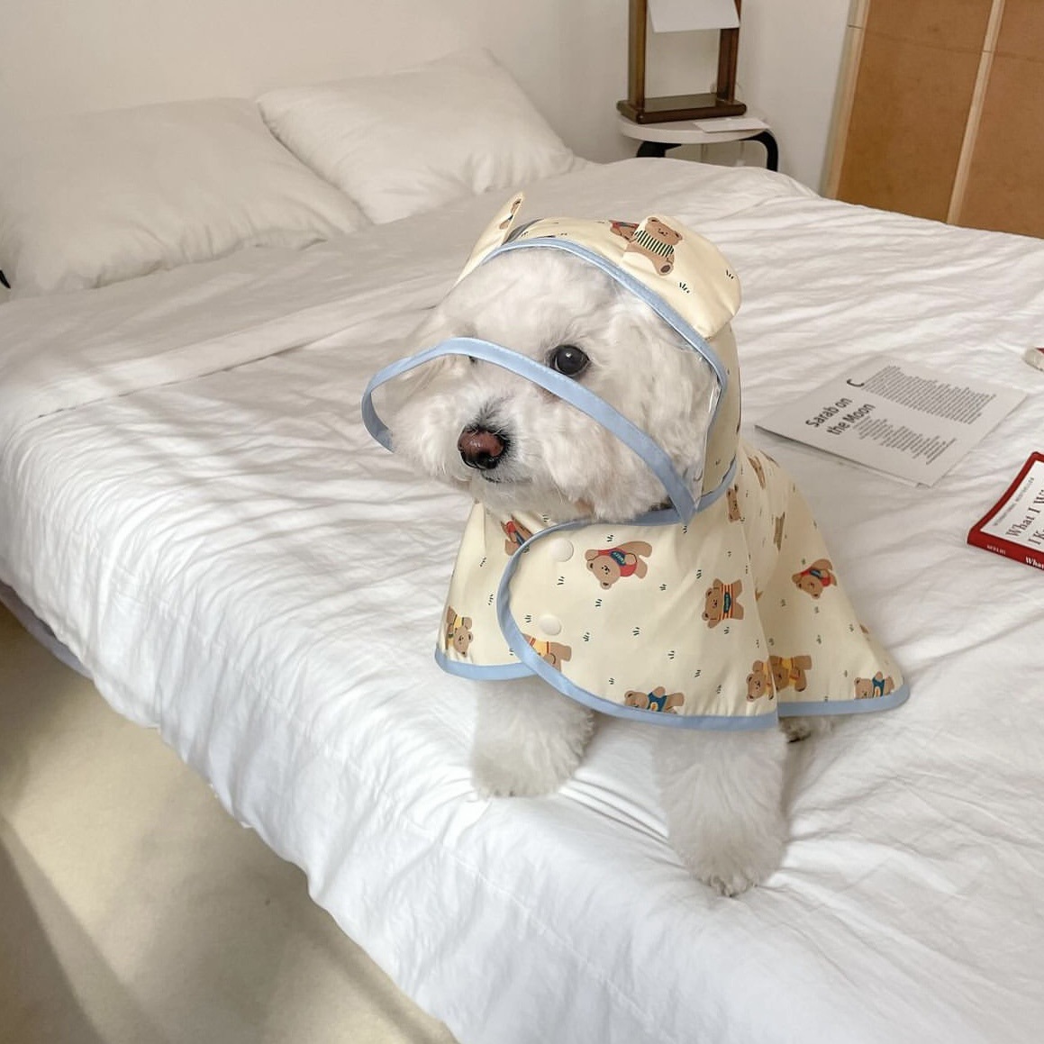 Regnjakke til hvalp, vandtæt, reflekterende klassisk kæledyrsregnjakke med sele til små hunde, pomeranian, dachshund, uigennemtrængelig