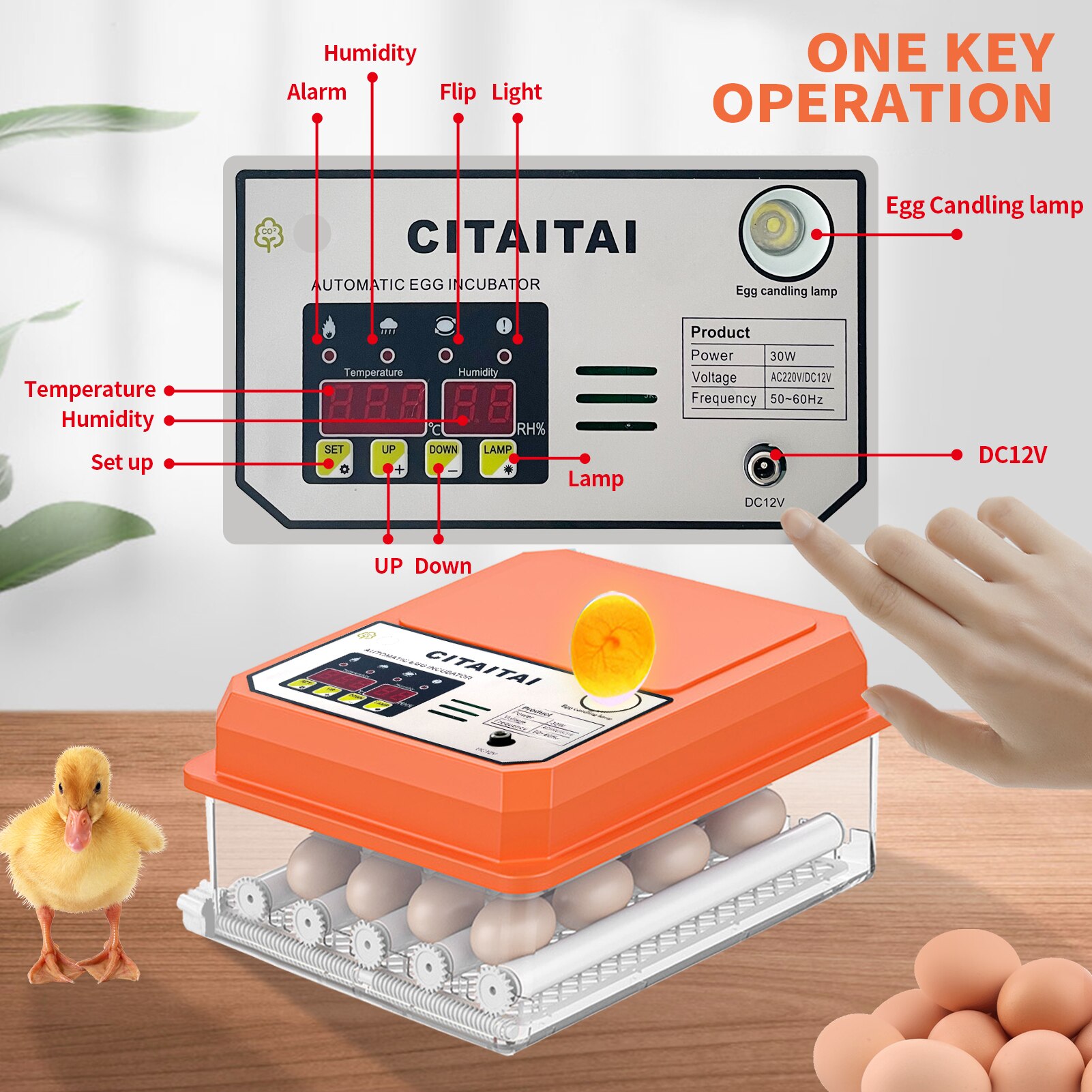 Egg rugemaskin rugekylling helautomatisk rugemaskin gård fugl vaktel gås klekkeri 16 egg rugemaskin fjærfe klekker turner