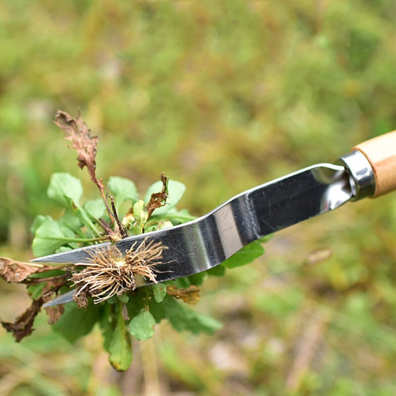 Herramienta de mano para desbrozar y plantar mango de madera para cultivar extractores, utensilios de desbrozadora Manual para jardín