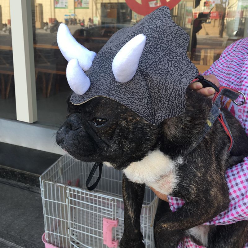 Hond Hoofddeksels Halloween Dinosaurus Cosplay Kostuum Hoed Pet Year Party Kerst Cosplay Dress Up Accessoires Puppy Cap