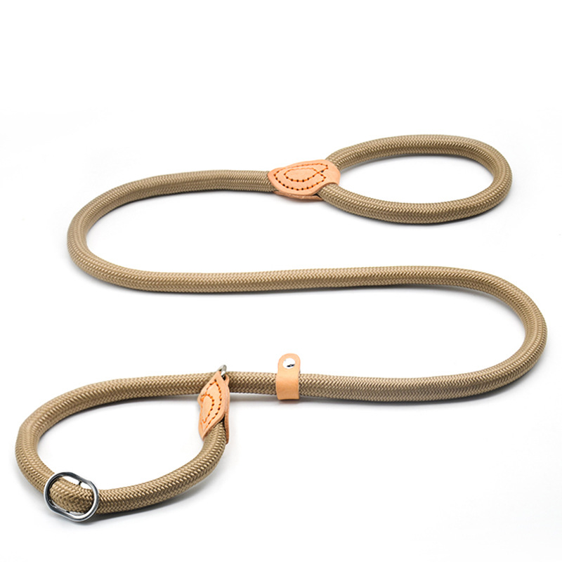 Laisse en Nylon pour chien 8/14mm, corde tressée, robuste, réglable, accessoire d'entraînement pour animaux de compagnie, pour petits et grands chiots: XS / WHITE