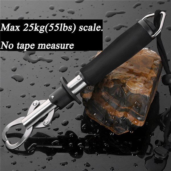 Stainless Steel Fish Grip Weight Scale Tape Measure Fishing Pliers Lip Grabber Holder rod pod carp fishing: D