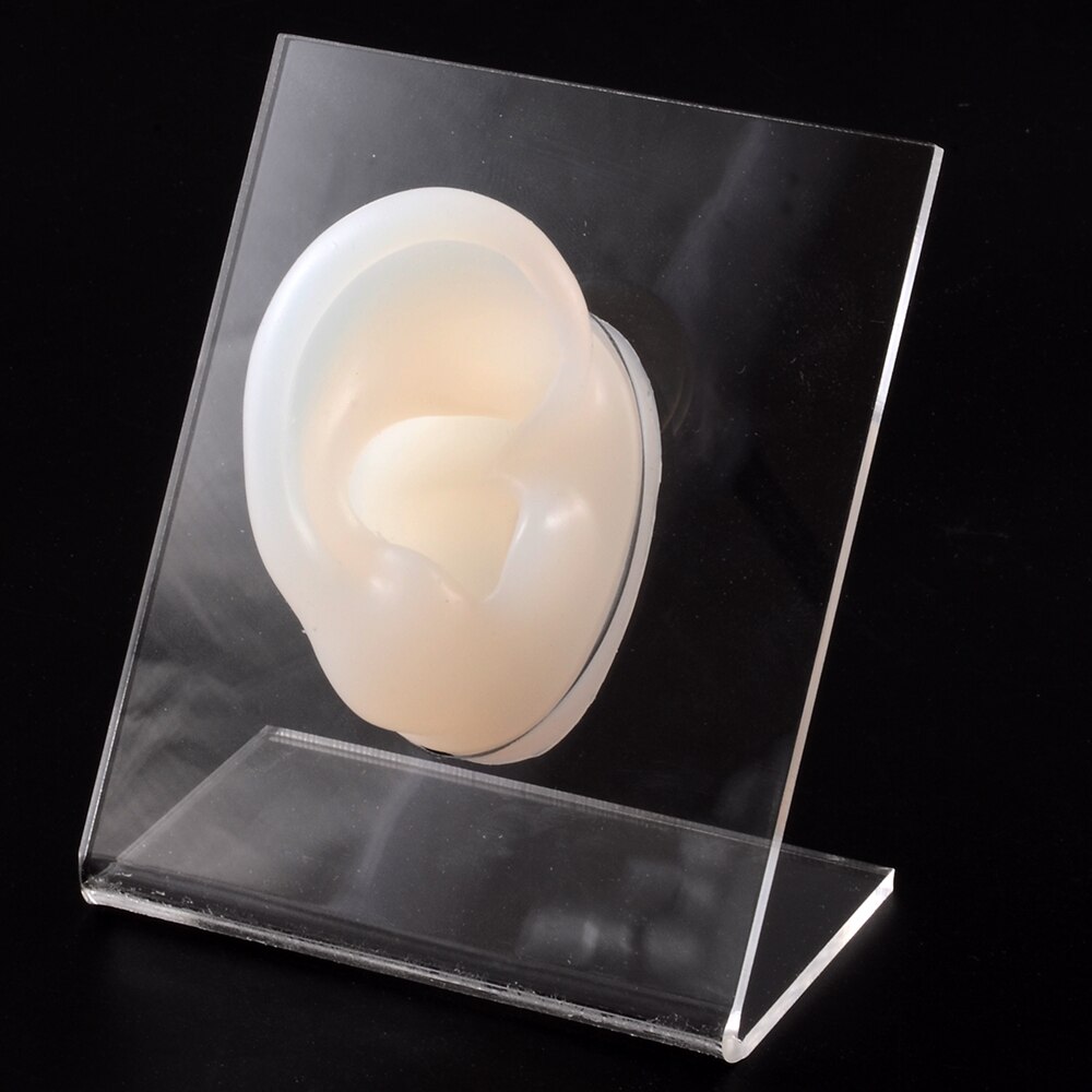 Modello di naso dell&#39;orecchio in Silicone con bordo trasparente pratica professionale piercing strumenti orecchini orecchini a bottone Display può essere riutilizzato gioielli: Clear Right