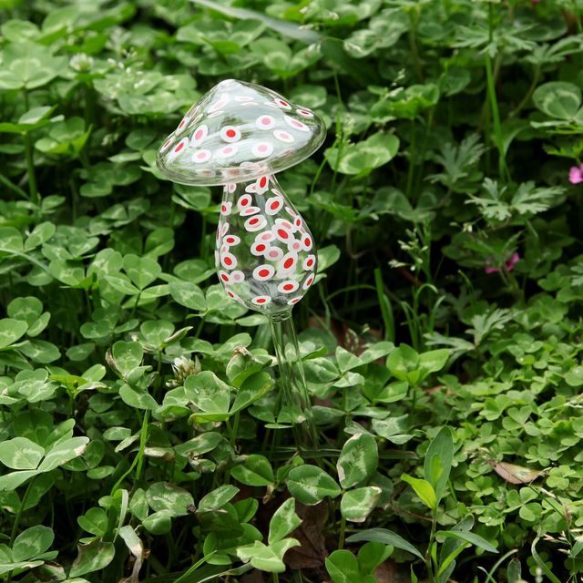 Houseplant Automatic Self Watering Indoor Plant Flowers Water Feeder Glass Watering Devices Garden Pot Drip Irrigation System: B