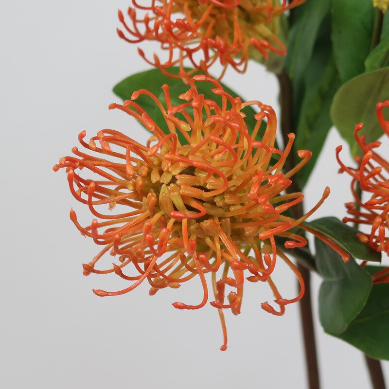 artificial Pincushion Flower Tropical Fox Tail Flower DIY wedding home floral decor