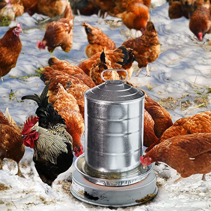 Metal Poultry Founts Water Heater Poultry Waterer Heated Base for Farm Feeder