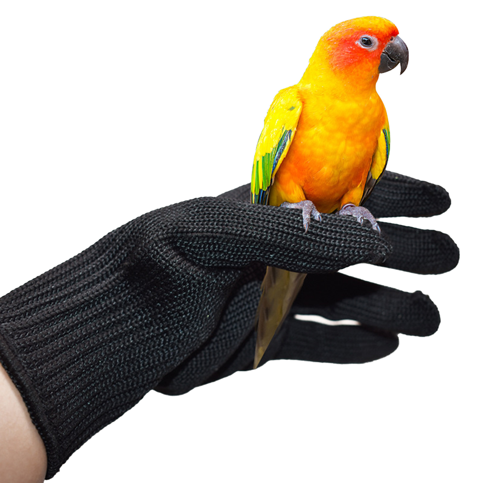 Guantes antimordeduras de entrenamiento para pájaros y loros, guantes protectores de alambre de acero para masticar, manejo de animales pequeños, accesorios para periquitos