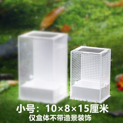 1PCS Entomological Raising Box Insect Feeding Box and Landscape Villa Insect Box Insect Supplies Pet Products: S