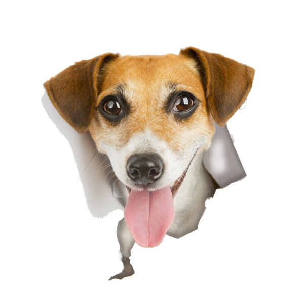 3D Creatieve Kat Hond Gebroken Muur Cartoon Sticker Zelfklevende Waterdicht Decoratie Wc Notebook Sticker: 03