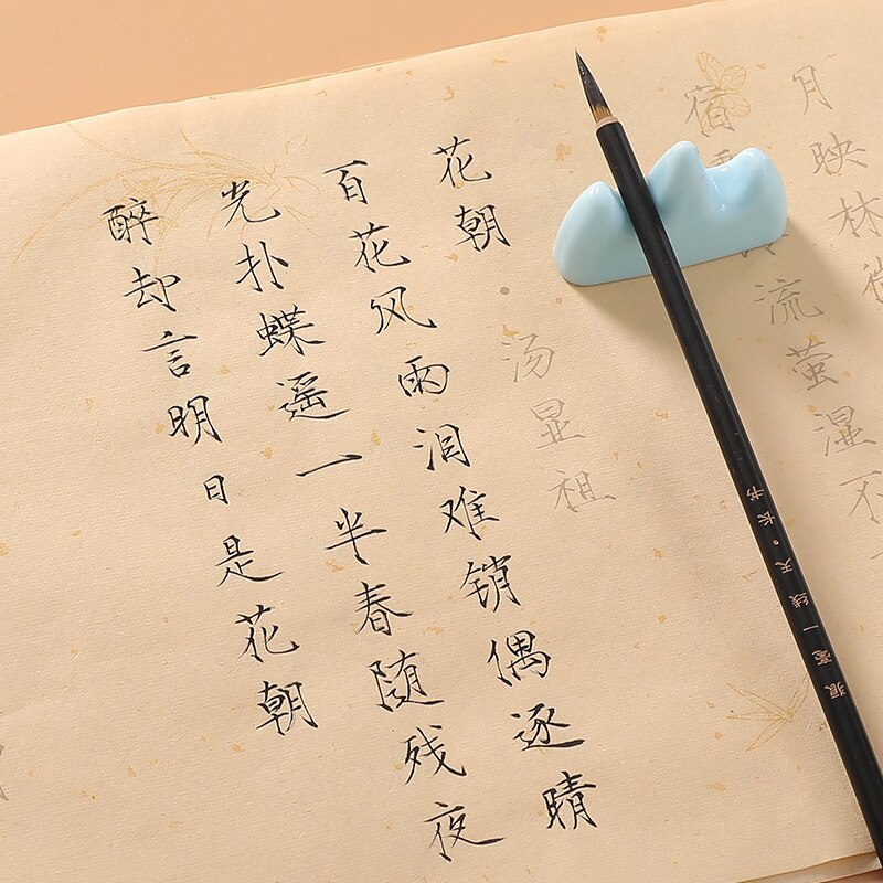 Xuan Paper Calligraphy Copybook Calligraphy Copybooks Set Song Huizong's Thin Gold Style Brush Caligrafia Copybook Sets