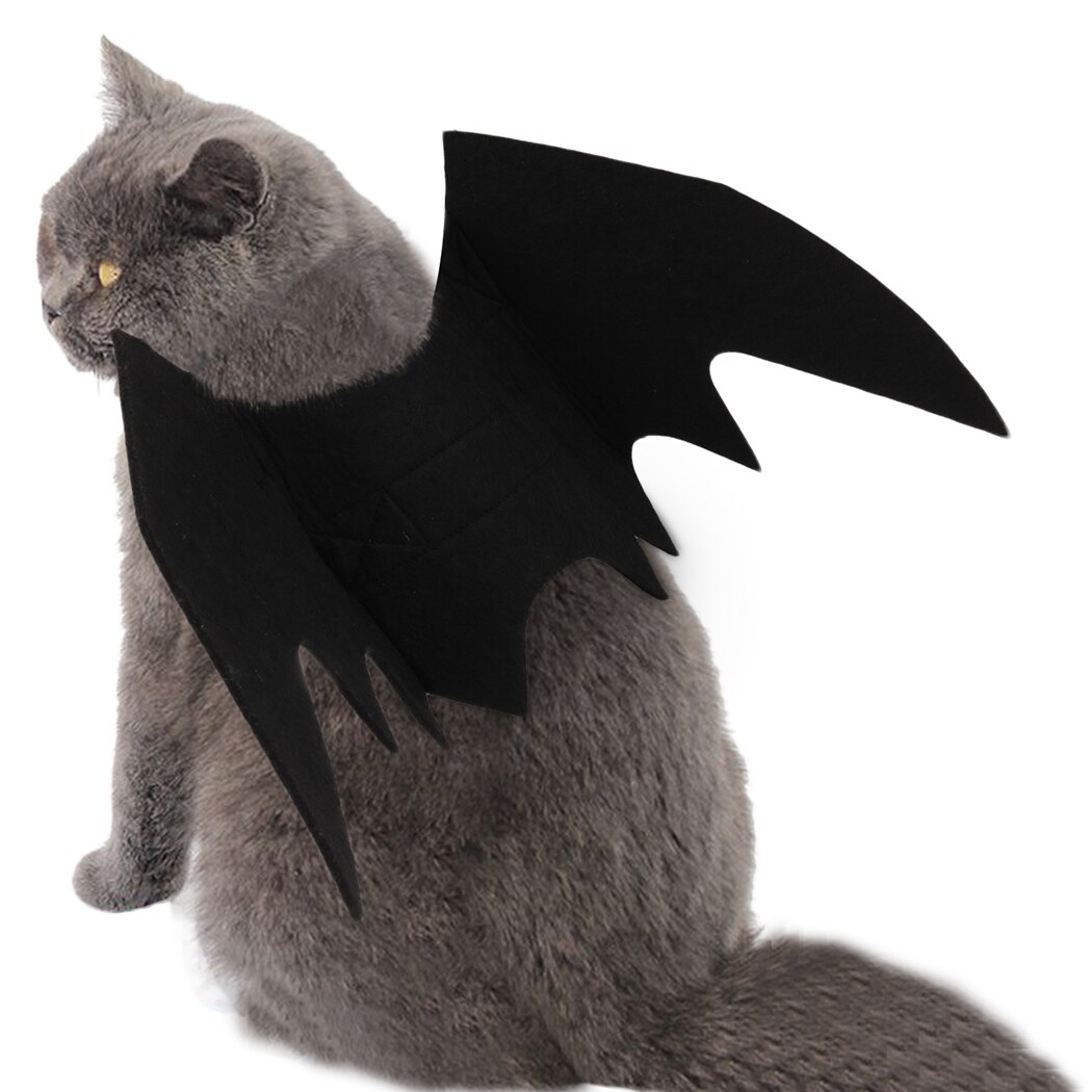 Halloween 1PC Divertente Gatti Cosplay costume animale domestico Ali di Pipistrello gatto pipistrello costume in forma Partito Cani Gatti Che Giocano Accessori per Animali Domestici