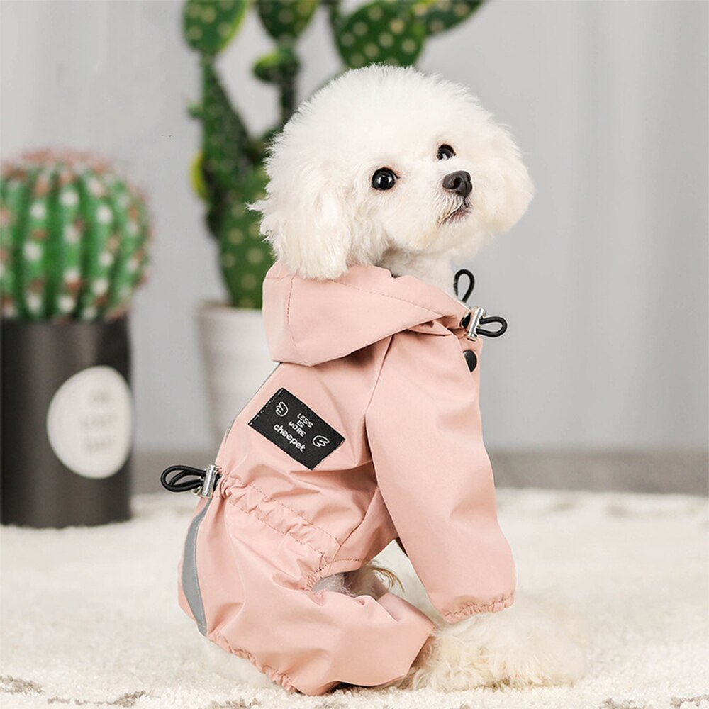 Aazon.nl Bestsellers: De beste ites in Ware jassen voor honden op