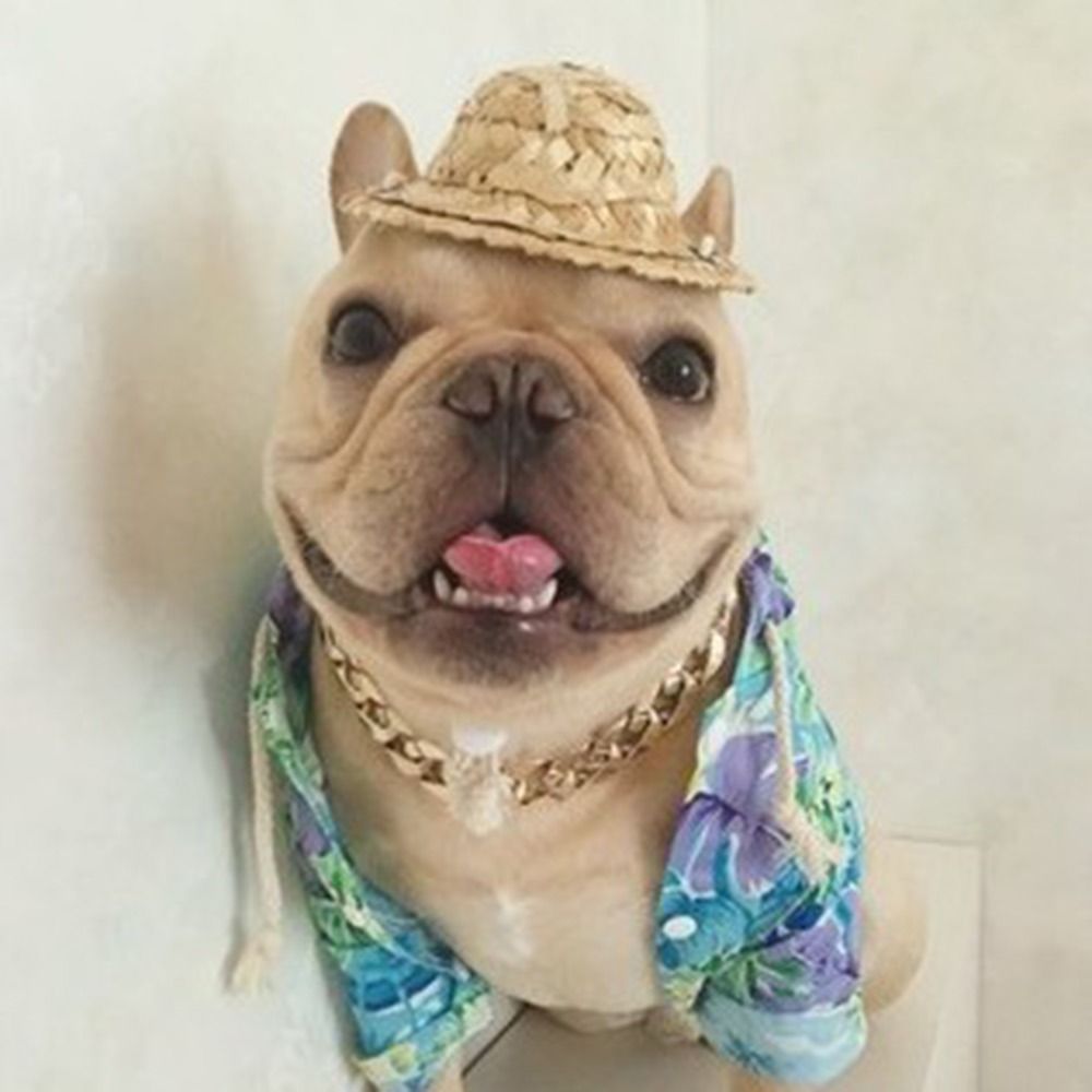 Huisdier Mode Ketting Ketting Hond Halsband Franse Vechten Kleine Middelgrote Hond Gouden Kraag Kat Hond Gouden Ketting Huisdier Sieraden Accessoires
