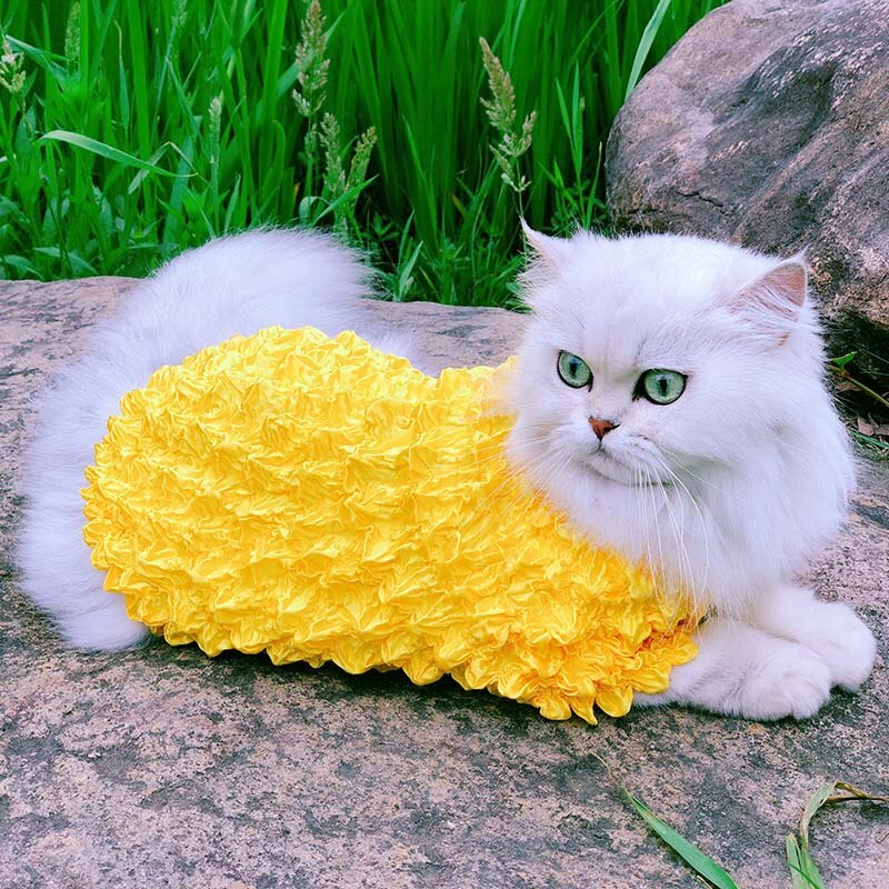 Pet Cat Clothes for Cats Costumes Dog Clothes Warm Dog Cat Hoodie Clothing Pet Clothes Kitten Pets Outfit Animals Pets Costume: Yellow