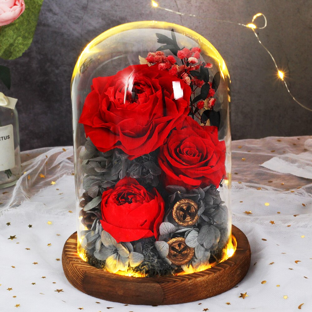Beauty And The Beast Immortal Flower Rose In Glass Inside Wedding Decoration Flower Christmas Mother's Day Birthday: DA06