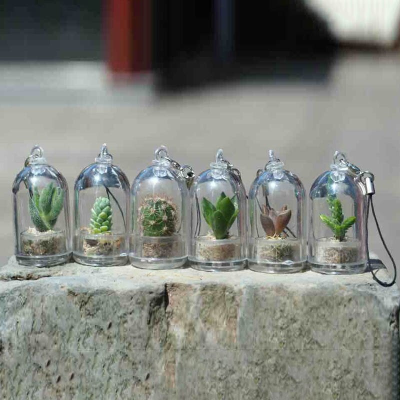 Multipurpoe Miniatuur Willekeurige 1 Stuks Glas Cover Craft Versier Wearable Ketting Sleutelhanger Hanger Vetplant Sleutelhanger