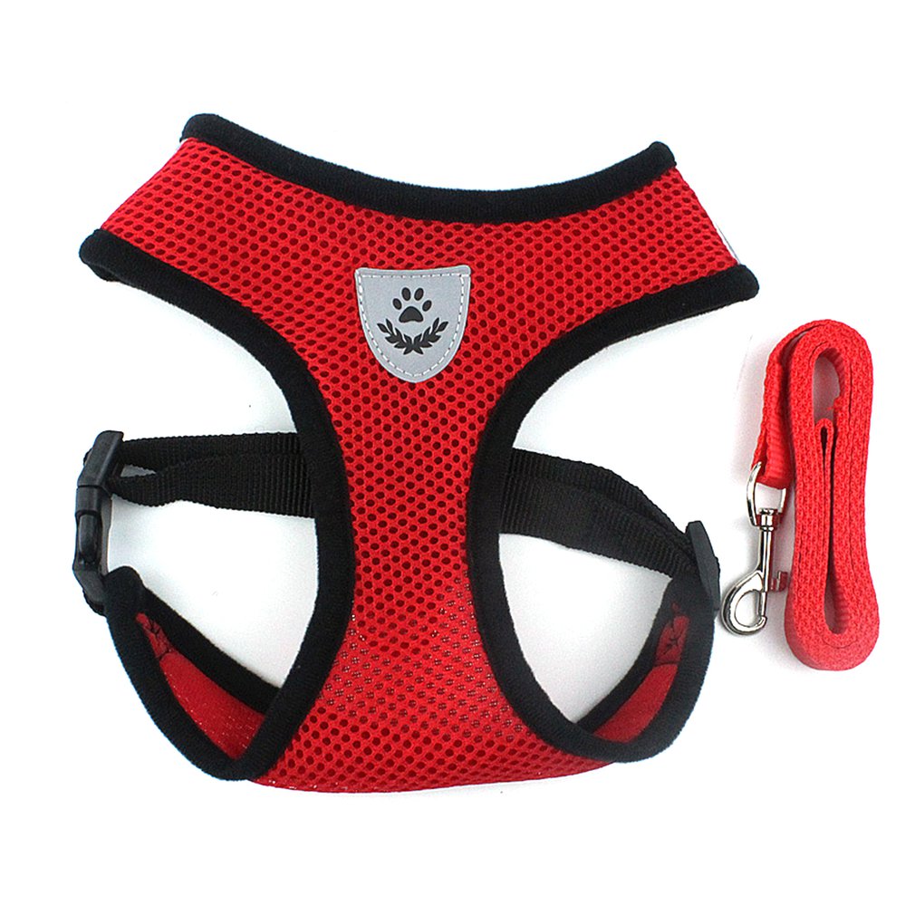 Arnés Con Luz LED Para Cachorro - Collar Ajustable En Colores Rojo, Blanco, Azul, Verde, Varios Tamaños