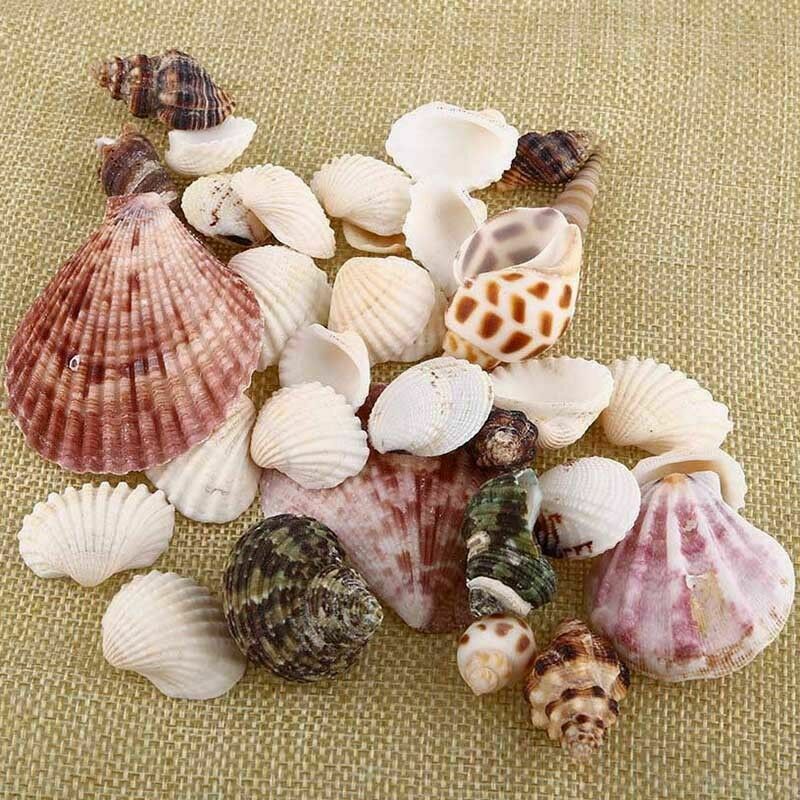 100G Gemengde Oceaan Schelpen Bruiloft Decor Strand Thema Party, Schelpen Huis Decoraties, Aquarium Decoraties