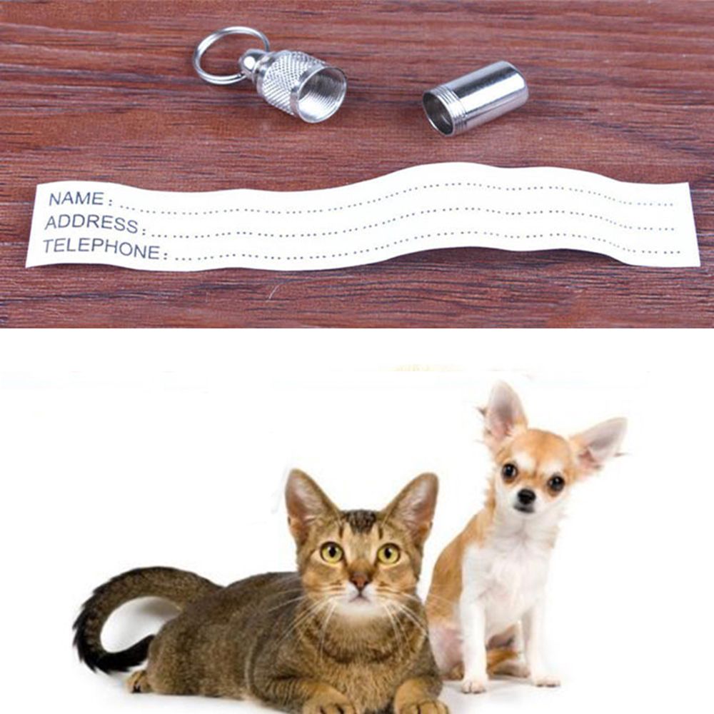 Anti-Lost Pet Hond Kat Id Rvs Tag Naam Adres Vat Buis Aluminium Pet Hond Kat Id tags Kraag