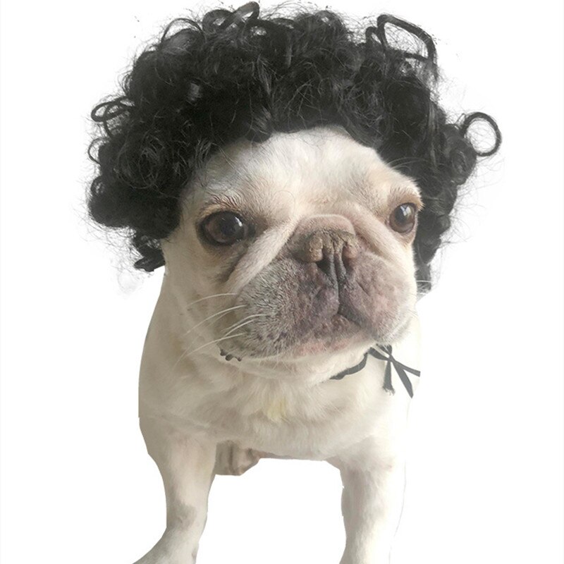 Pelucas para mascotas, accesorios de Cosplay divertidos para perros y gatos, sombrero de pelo de peluquería cruzada, disfraces, accesorios para la cabeza, suministros para mascotas de Navidad: Black curly hair