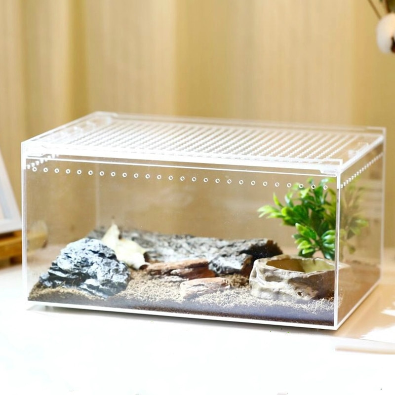 1PCS 4 Size Acrylic Reptile Feeding Box Insect Box Praying Mantis Reptile Home Insect Cage Reptile Terrariums