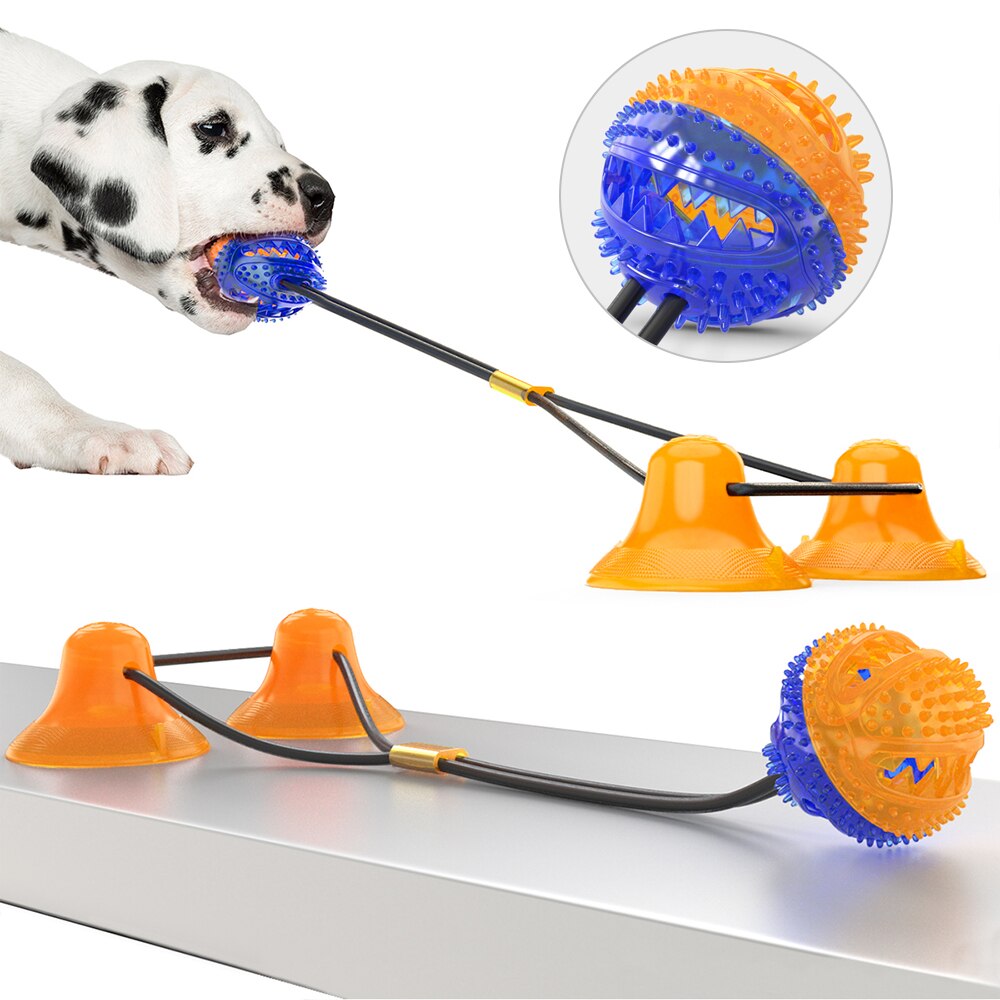 Hund interaktiv sugkopp tpr bollleksaker husdjur molar bett rengöring tänder hundleksaker gummi säker tuggboll leksak för hund katt