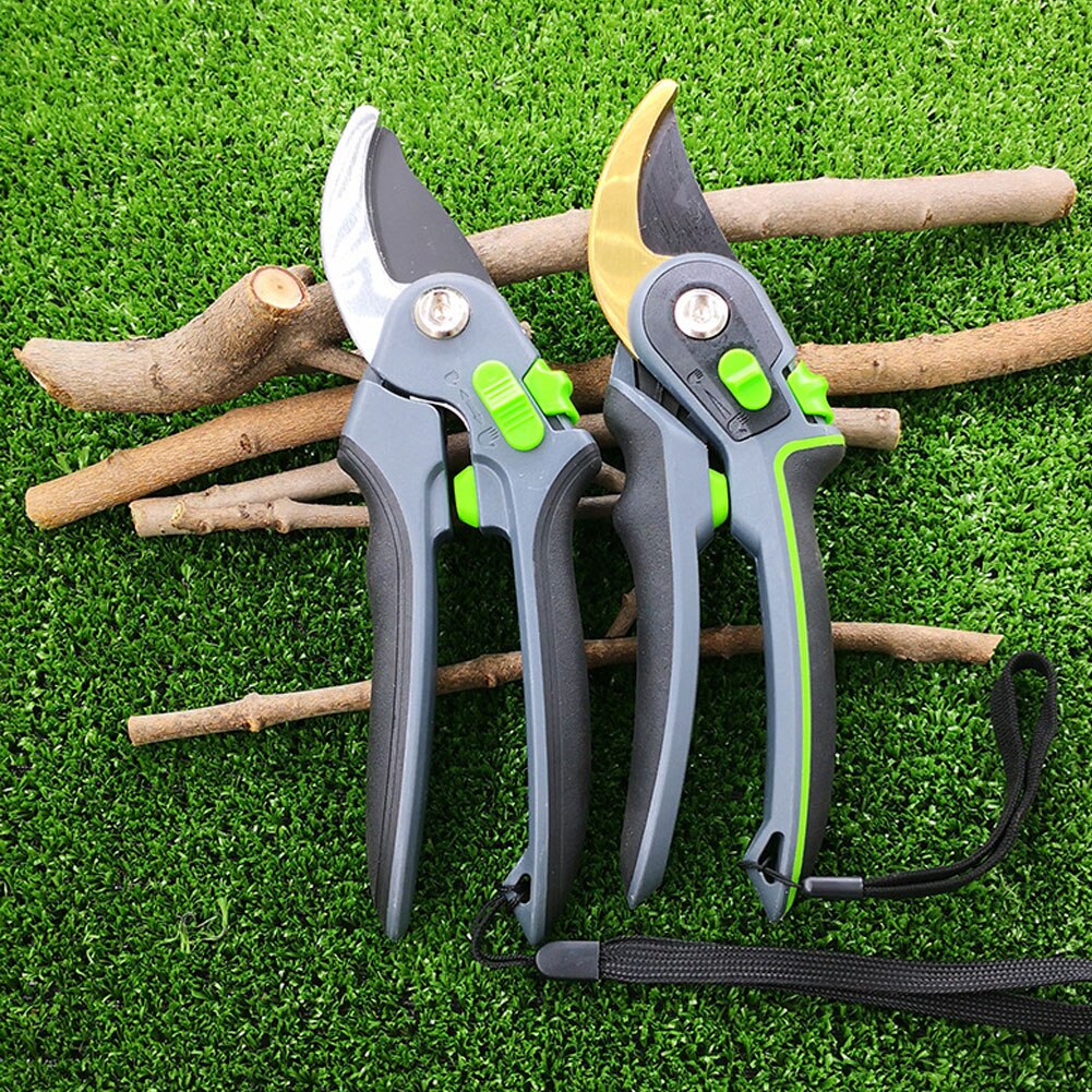 Cisaille de taille pour garniture de plante de jardin, coupe de branches, sécateur de raisin de floraison, taille de vigne, outil de semis et de greffage