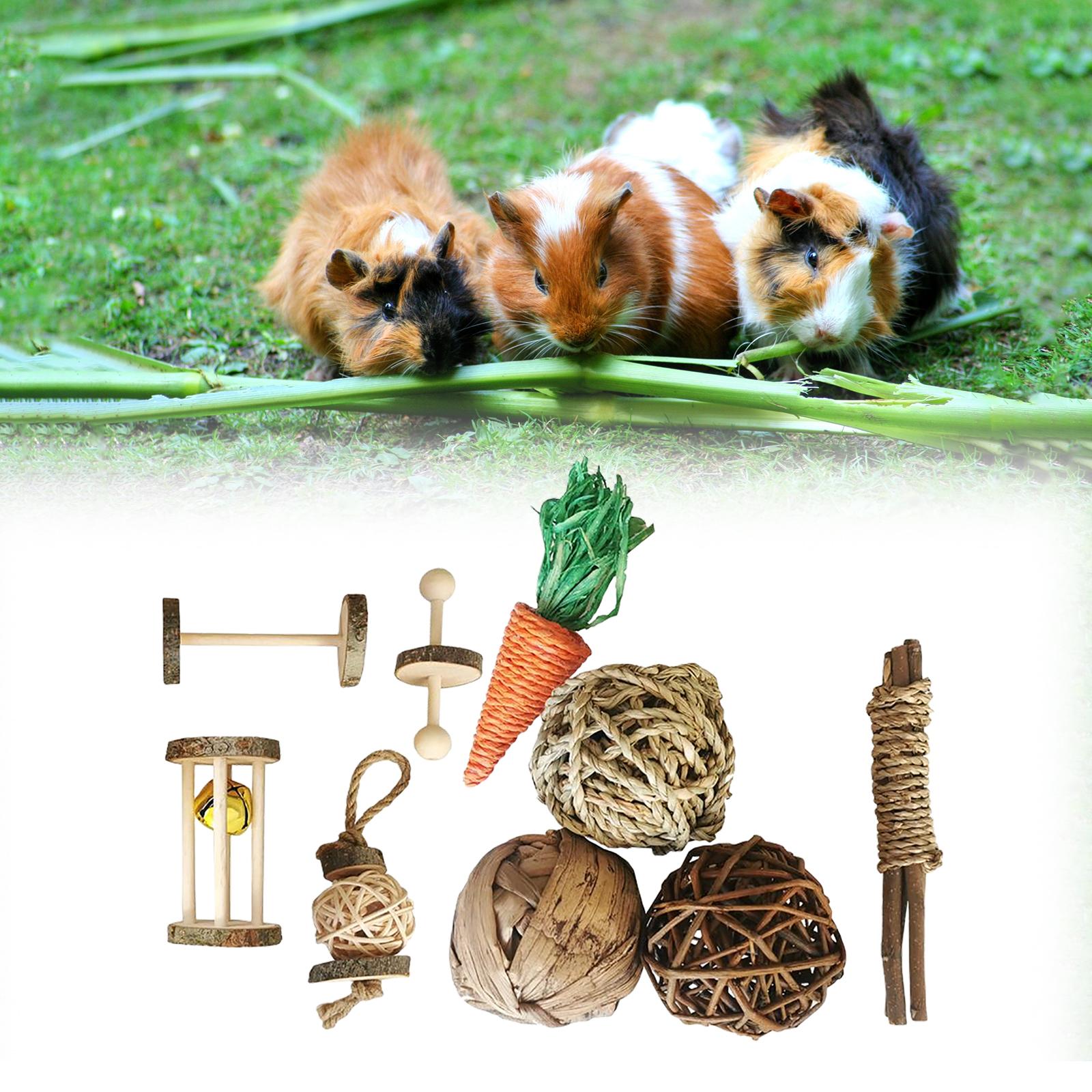 Hamster Rabbit Chew Toys Set Bite Grind Teeth Toys Guinea Pig Toys for Rabbit Rat Bunny Chinchillas Dwarf Hamsters Teeth Care: J